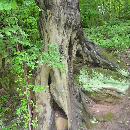 Alter Felsenkeller 여관