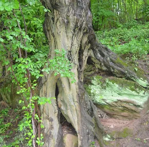 Alter Felsenkeller Locanda